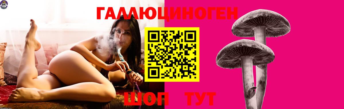 Псилоцибиновые грибы Cubensis Бийск